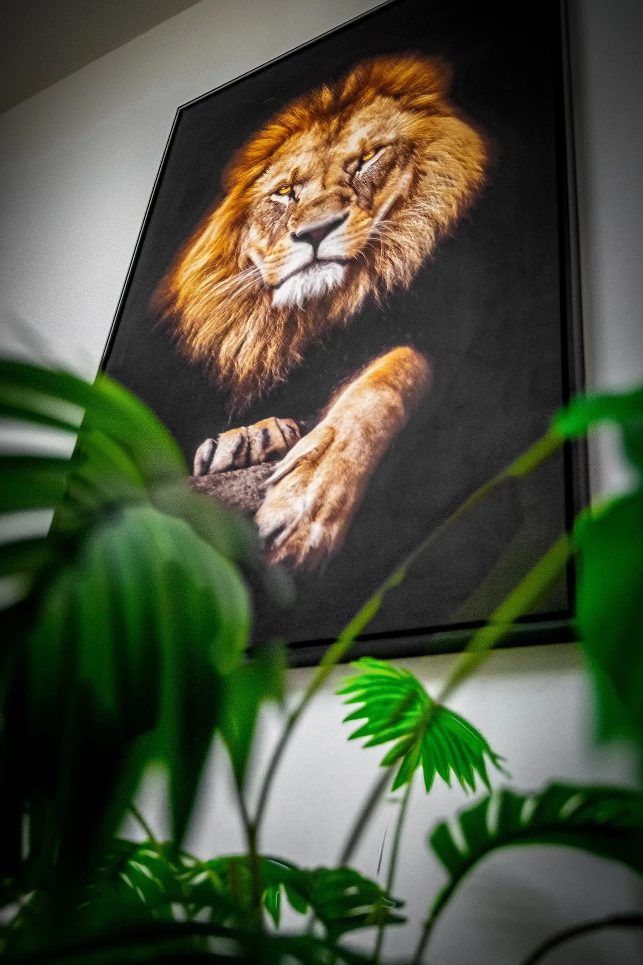 Quadro do leão na parede do escritório da KING
